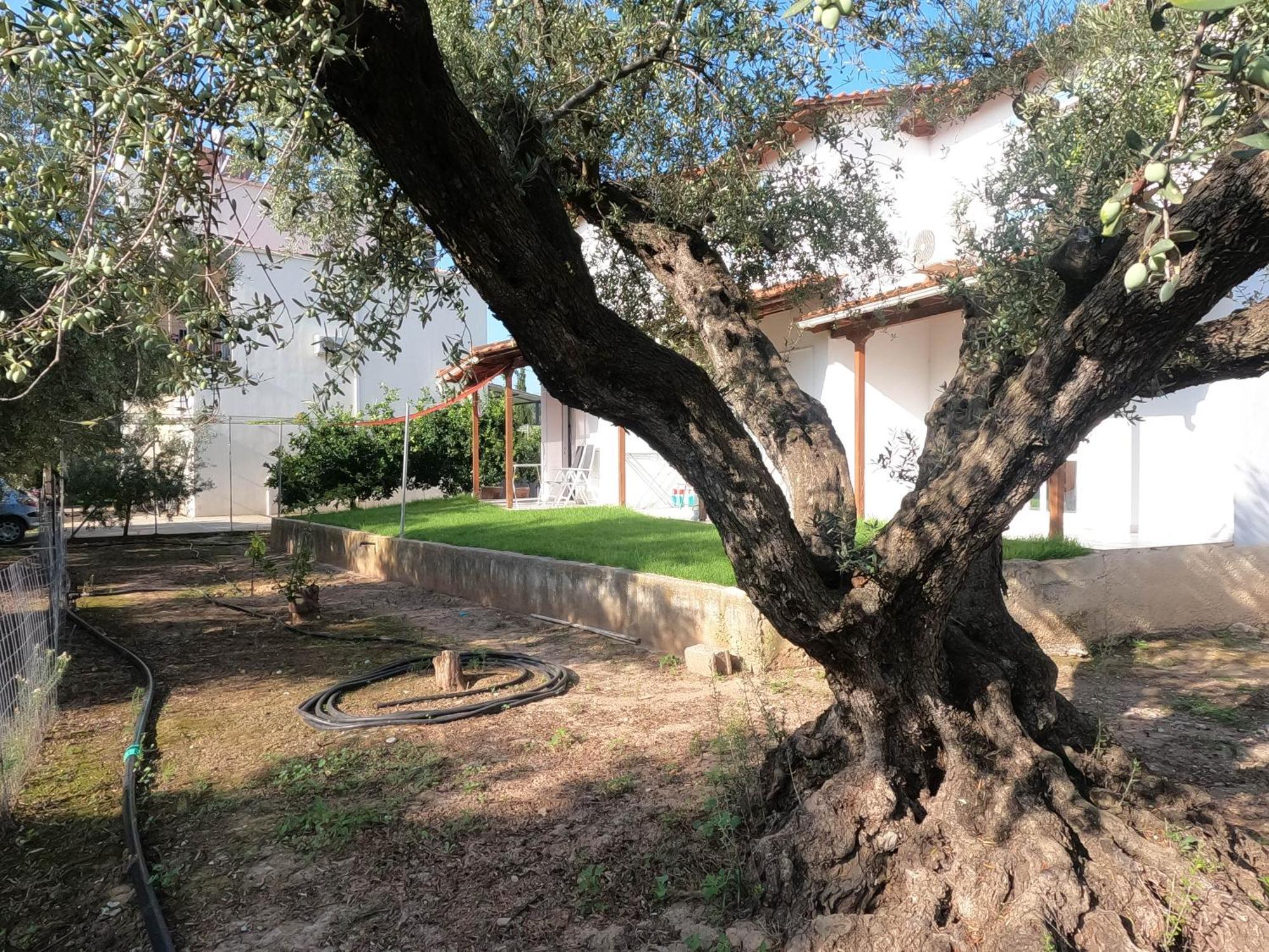 Spiti Ostria Βίλα Αίγιο Εξωτερικό φωτογραφία